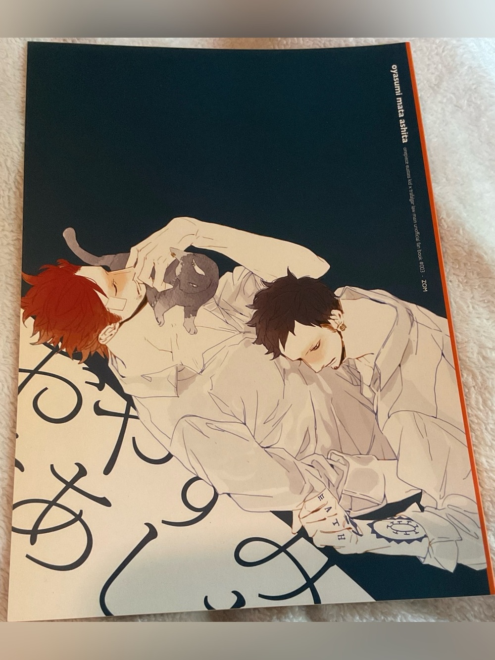 KidLaw Eustass Kid x Trafalgar Law Yaoi manga Doujinshi by ZOM Natsume